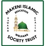 MIST schools logo